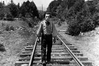 Buster Keaton: "Der General" Bild #3