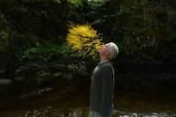 Leaning into the wind - Andy Goldsworthy (OmU) Bild #1